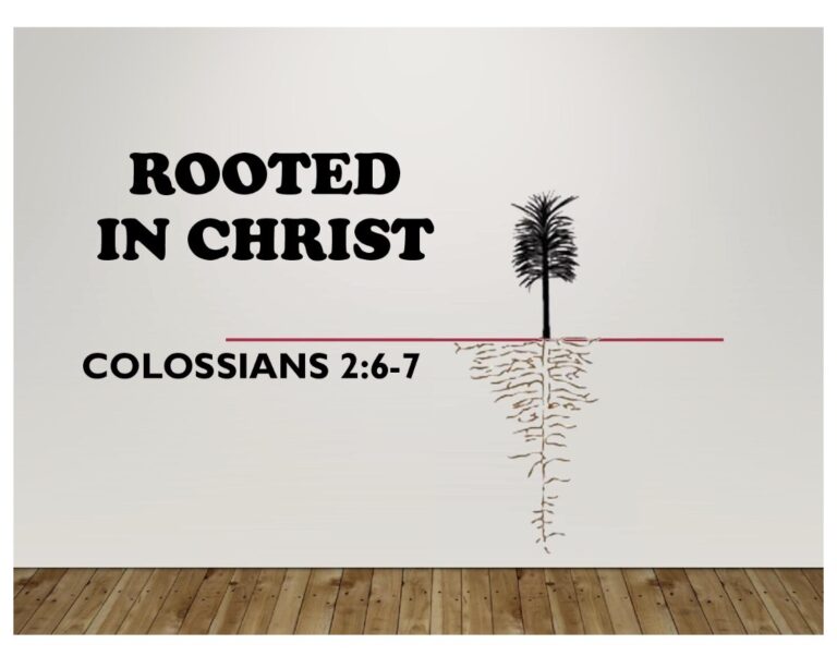 Rooted in Christ